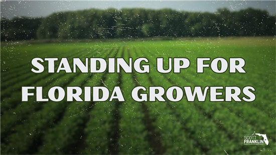 growers graphic