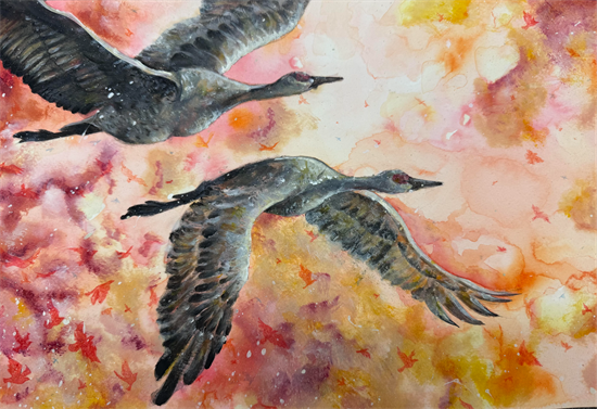art comp 2025 winning artwork photo